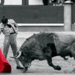 Muletazo en Las Ventas