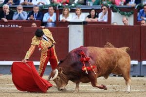 Bullfighting photography Perfection Morantista