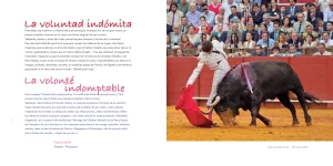 Castella 5 lustres5